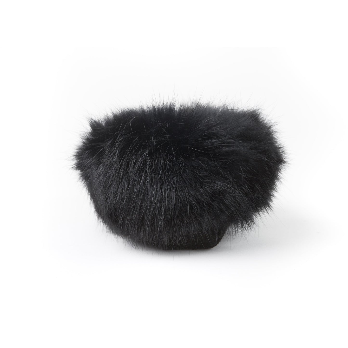Tänionnienha’ (lapin)