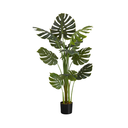 Plante artificielle - monstera d'intérieur en pot de 6", 55"H - Monarch (I 9548)