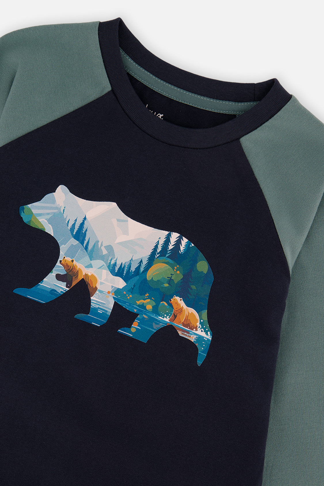 Raglan T-Shirt Dark Blue And Green