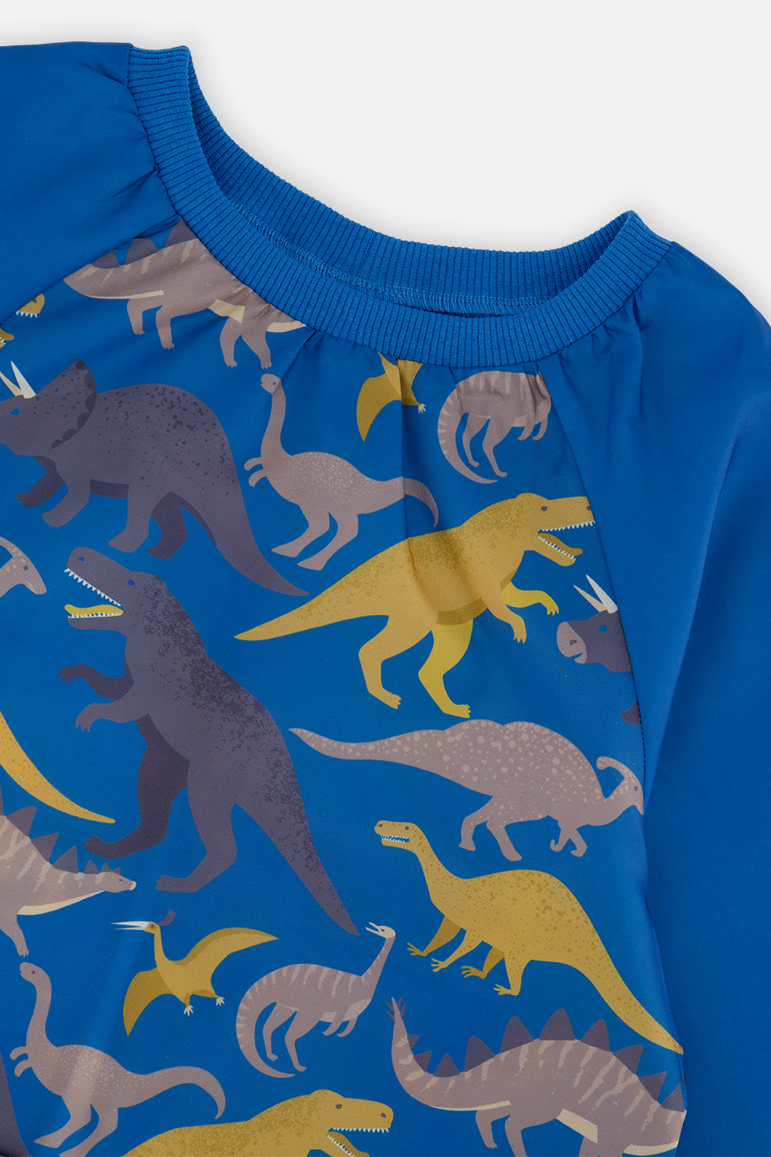 Apron Blue Dinosaur Print