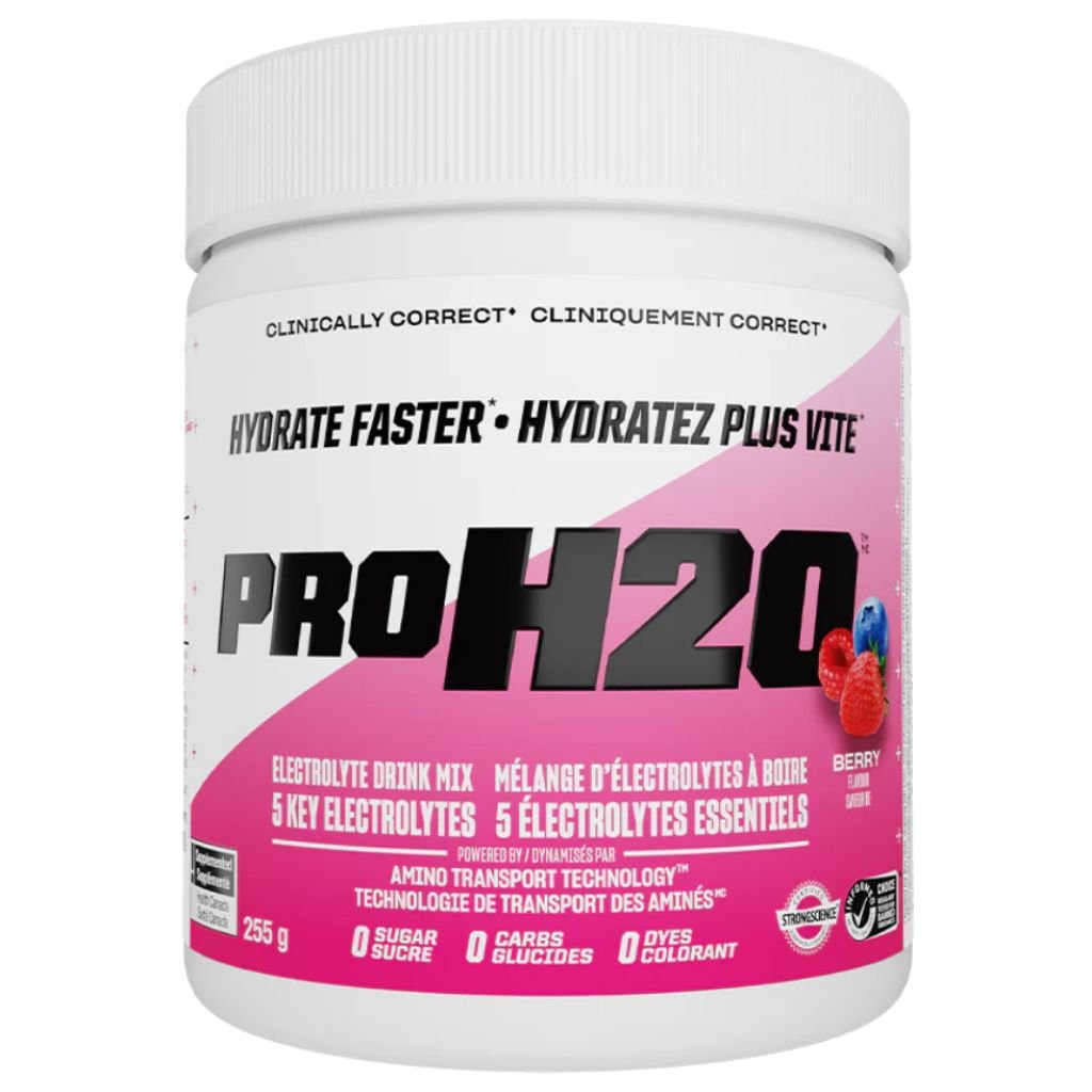 PVL PROH2O HYDRATION MIX, 255g