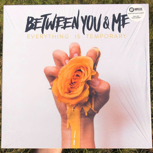 Between You and Me / Everything Is Temporary - LP