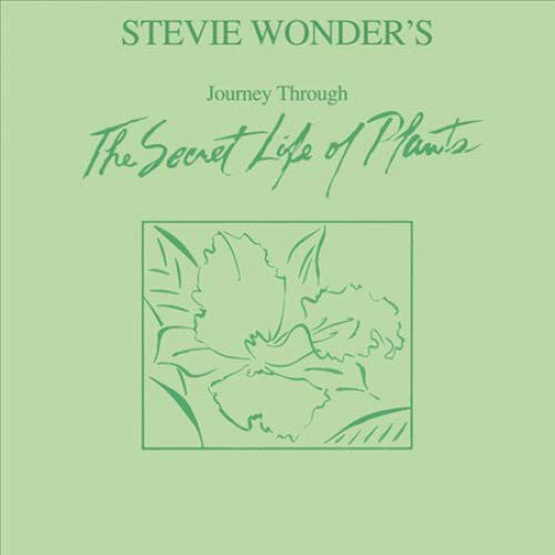 Stevie Wonder / Journey Through The Secret Life Of Plants - 2LP