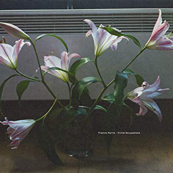 Francis Harris ‎/ Trivial Occupations - 2LP