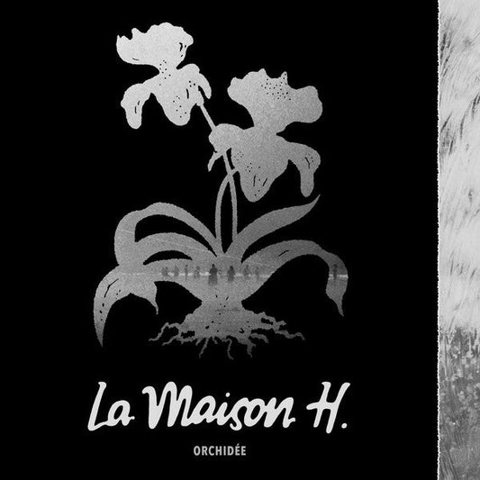 La Maison H. / Orchidée - LP