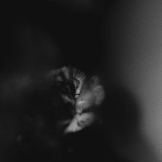 Holding Absence / Holding Absence LP Used white/black splatter