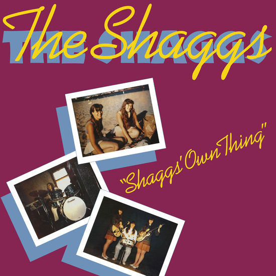 The Shaggs / "Shaggs' Own Thing" - LP COULEUR