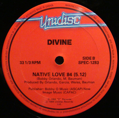 The Flirts / Divine / Helpless (You Took My Love) / Native Love 84 - LP 12'' Used