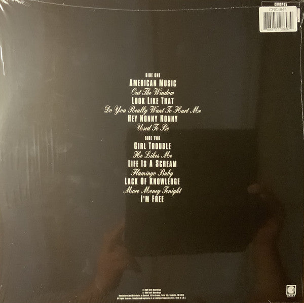Violent Femmes / Why Do Birds Sing? - LP