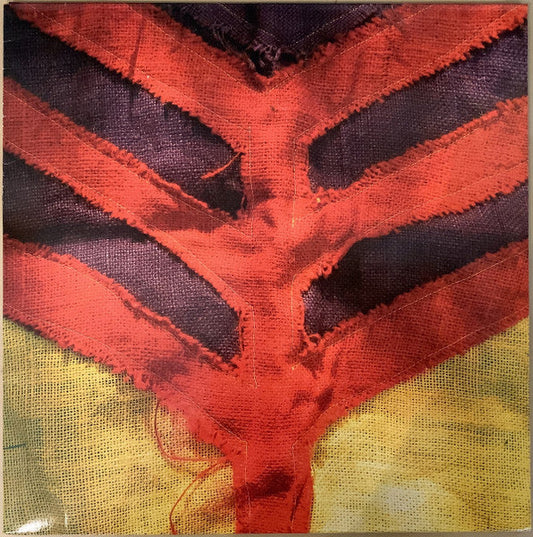 Yeah Yeah Yeahs / Show Your Bones - LP
