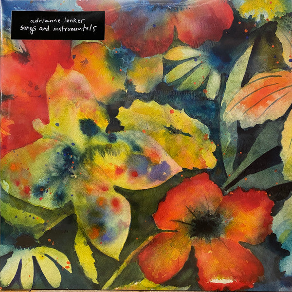 Adrianne Lenker / Songs And Instrumentals - 2LP