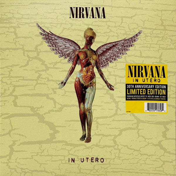 Nirvana / In Utero - 2LP