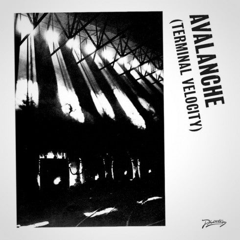 Boys Noize & Erol Alkan Feat. Jarvis Cocker / Avalanche (Terminal Velocity) - LP Used WHITE
