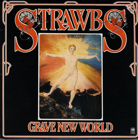 Strawbs / Grave New World - LP USAGÉ