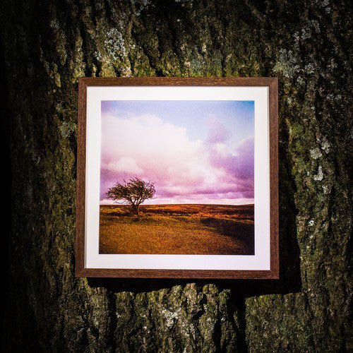 Faint Wild Light ‎/ Faint Wild Light - LP