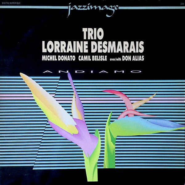 Trio Lorraine Desmarais / Andiamo - LP USED