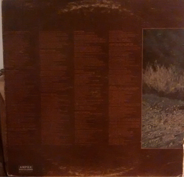 Stevie Wonder / Talking Book - LP USED
