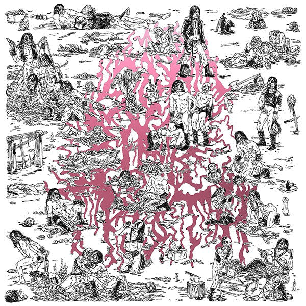 The Soft Pink Truth ‎/ Why Do The Heathen Rage? - LP PINK