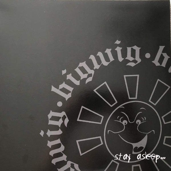 Bigwig / Stay Asleep - LP Used