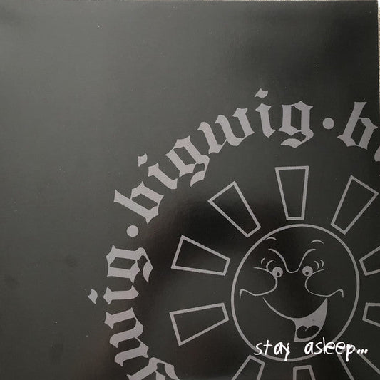 Bigwig / Stay Asleep - LP Used