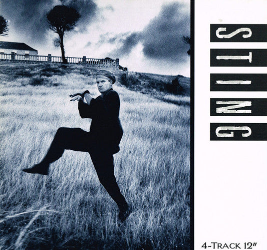 Sting / If You Love Somebody Set Them Free - LP OCCASION