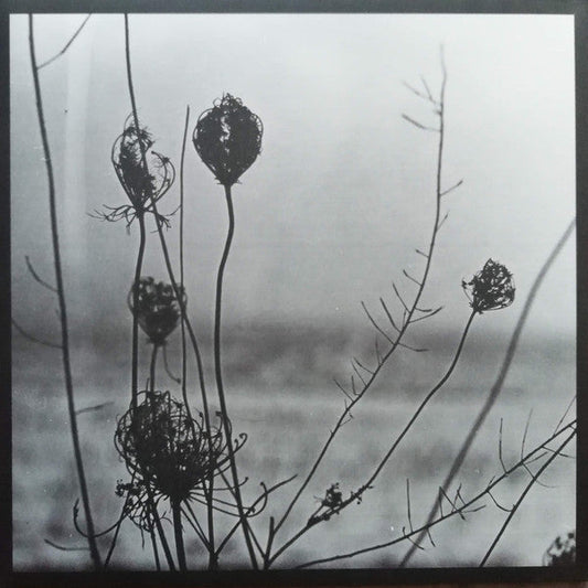 Recondite ‎/ Placid - 2LP