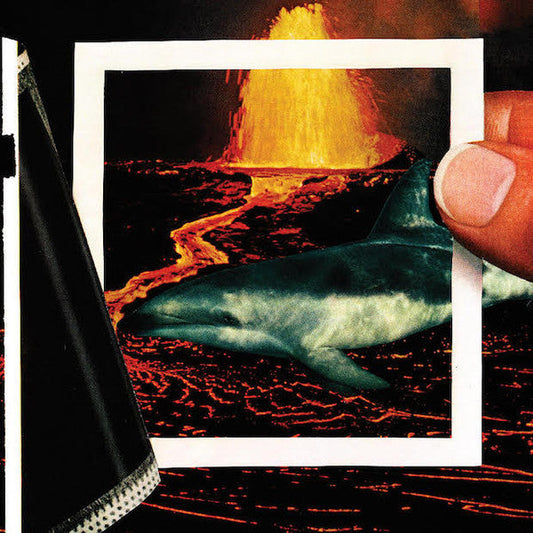 The Thermals ‎/ We Disappear - LP