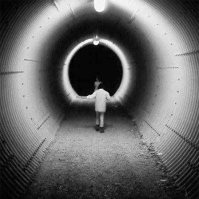 Mary Lattimore & Jeff Zeigler / Music Inspired By Philippe Garrel’s Le Révélateur - LP