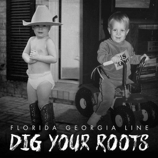 Florida Georgia Line / Dig Your Roots - LP USAGÉ