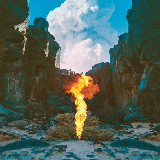 Bonobo / Migration - 2LP