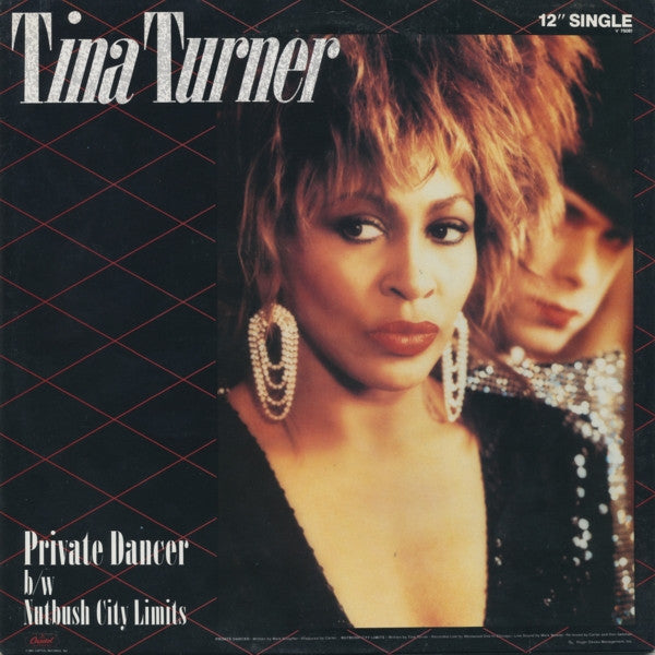 Tina Turner / Private Dancer - LP Used 12''
