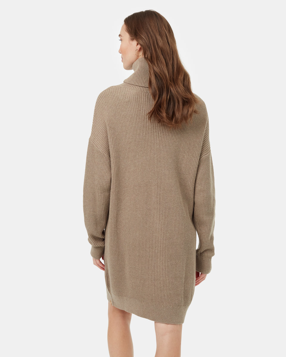 Highline Oversized Turtleneck Dress