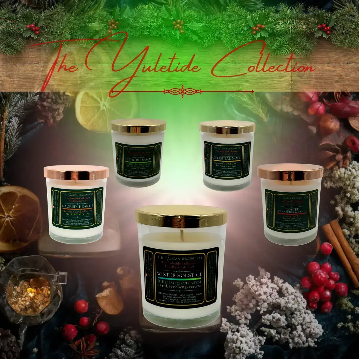 Bougie de Noël Celestial Noel – Florale, cire de coco et d’abricot