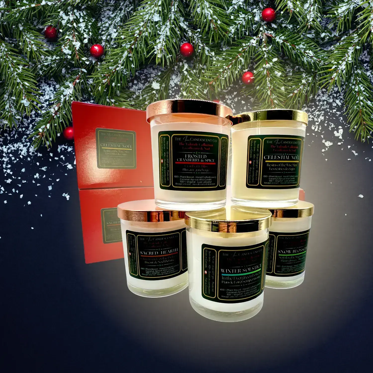 Bougie de Noël Celestial Noel – Florale, cire de coco et d’abricot
