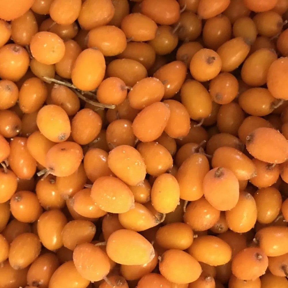 Confiture de baies d'argousier