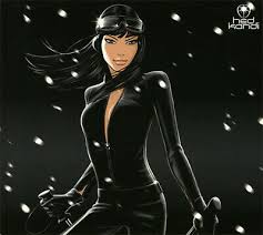 Various / Winter Chill 5 - CD (Used)