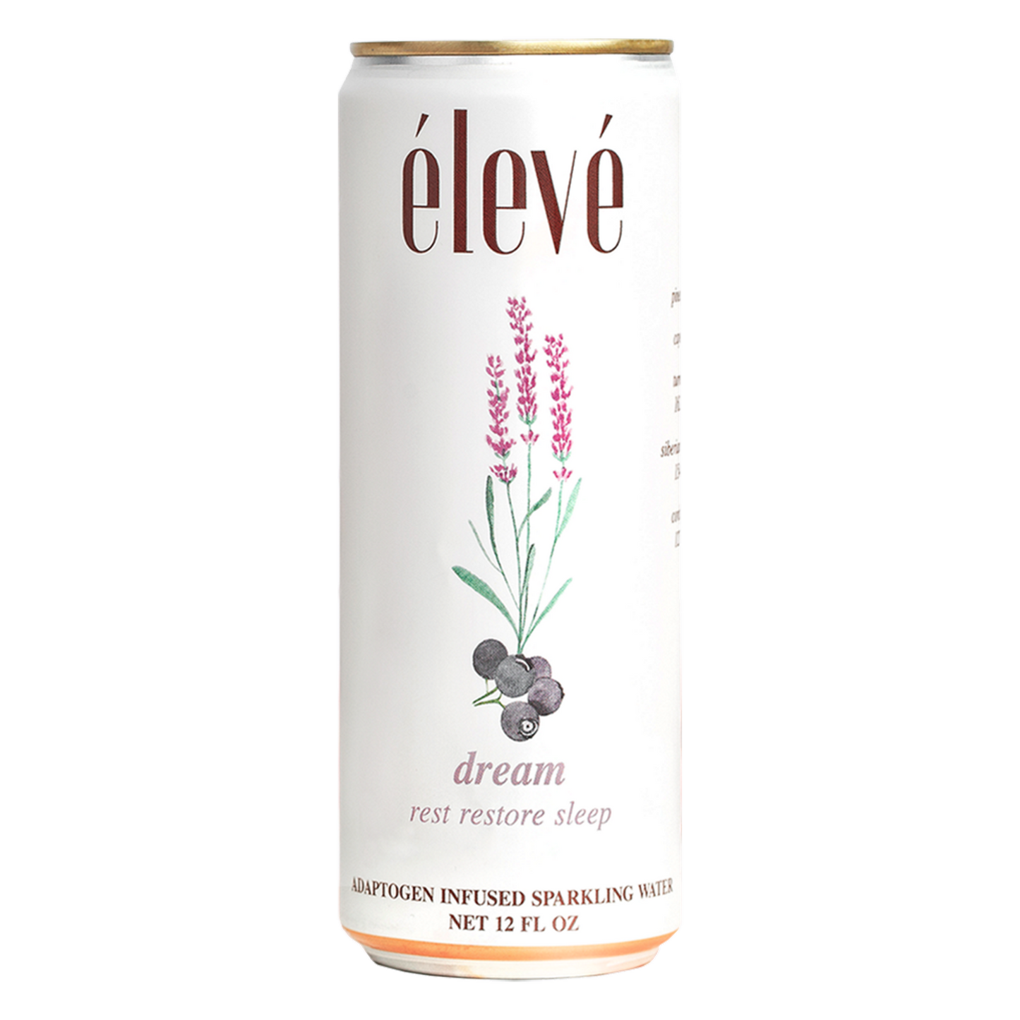 élevé - dream