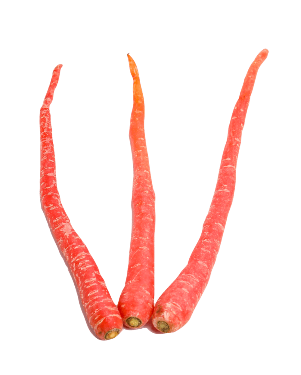 Indian carrot