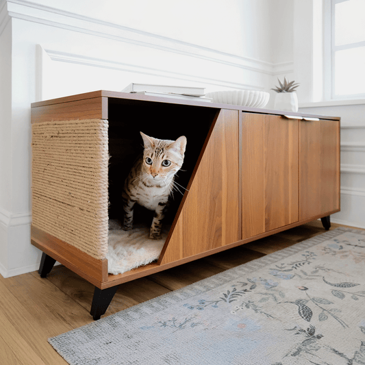 jessie litter cabinet