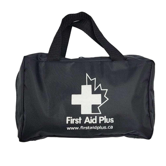 Trousse de premiers secours de luxe pour animaux de compagnie