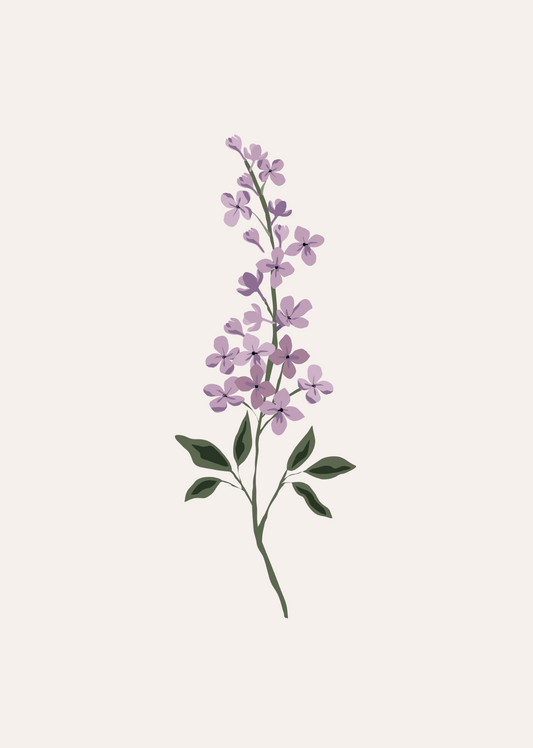 Impression d'art Fleur de lilas