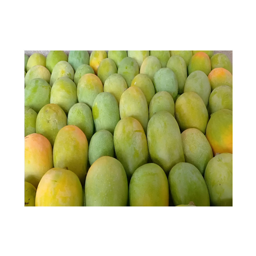 Fresh Kesar Mango (Approx 12Pcs)