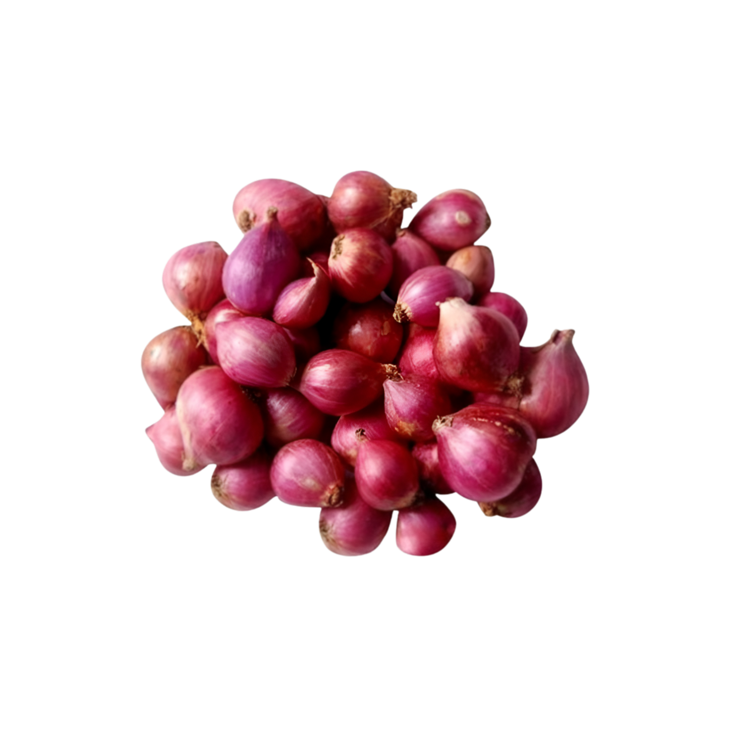 Red Baby Onions (Shallots)