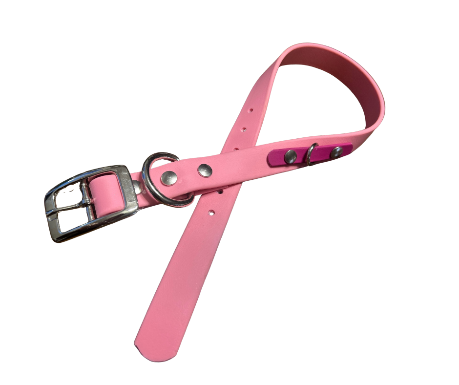 Promo Spéciale sur le Collier standard 1" en Biothane pour Chien – Fait Main au Québec