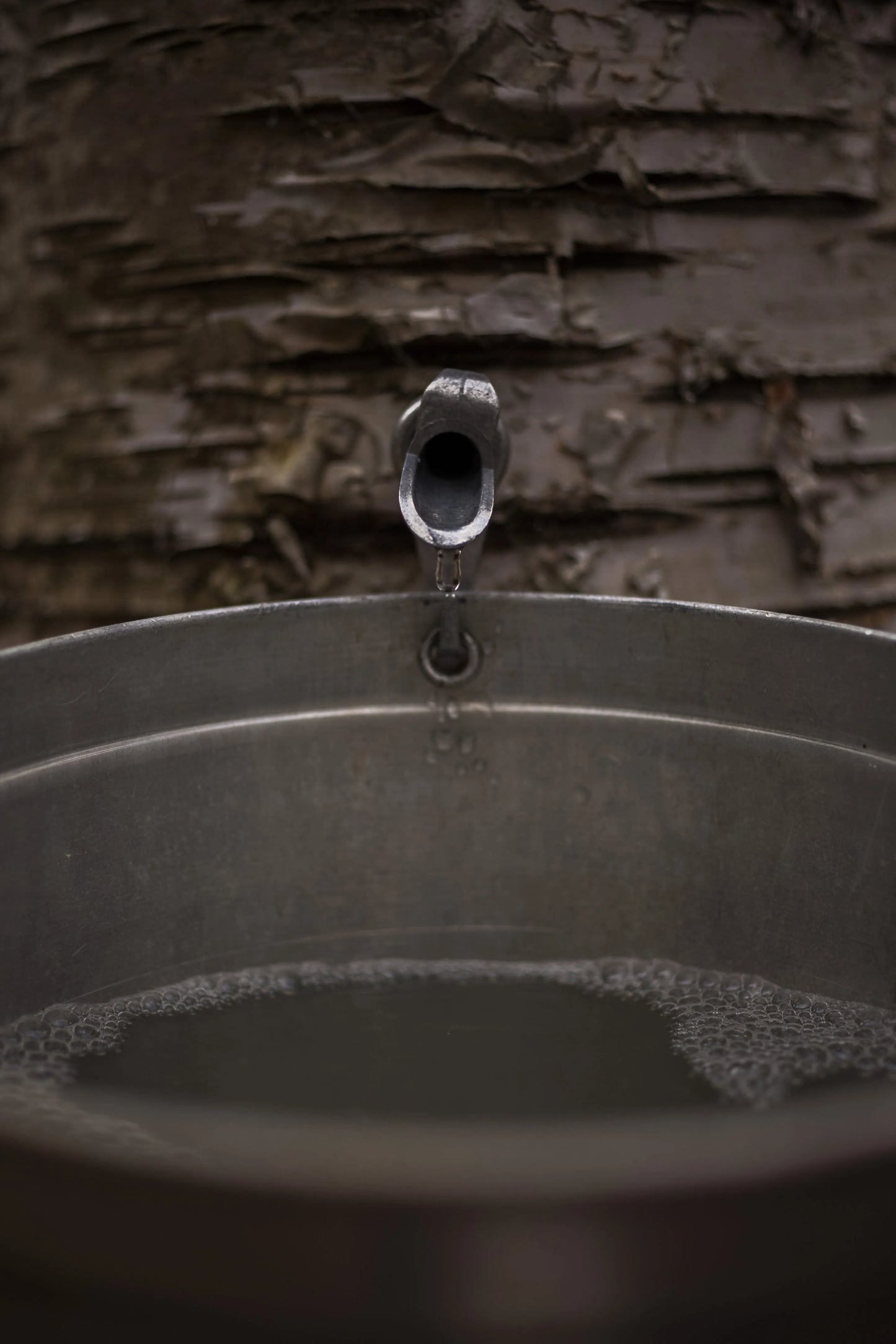 Sirop de bouleau