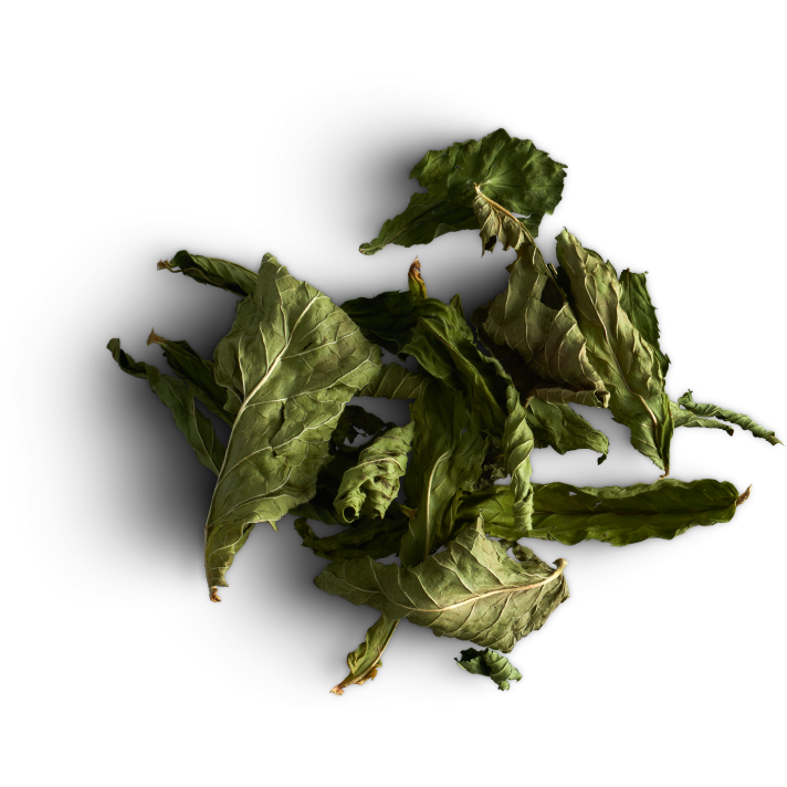 Tisane Inuit  - Boîte découverte en bois